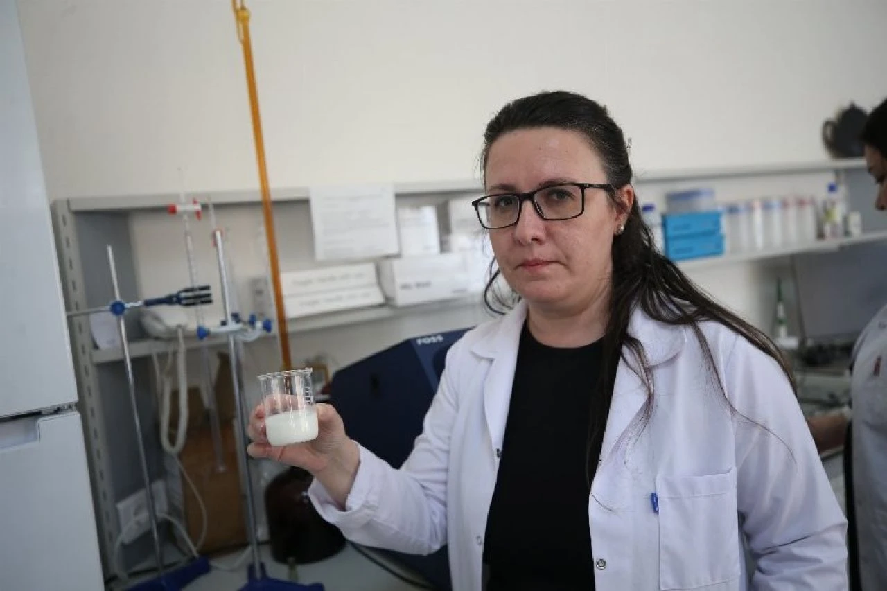 Ezine peyniri yapay zekaya emanet... Sahteciliğin önüne geçilecek! - 2. Resim