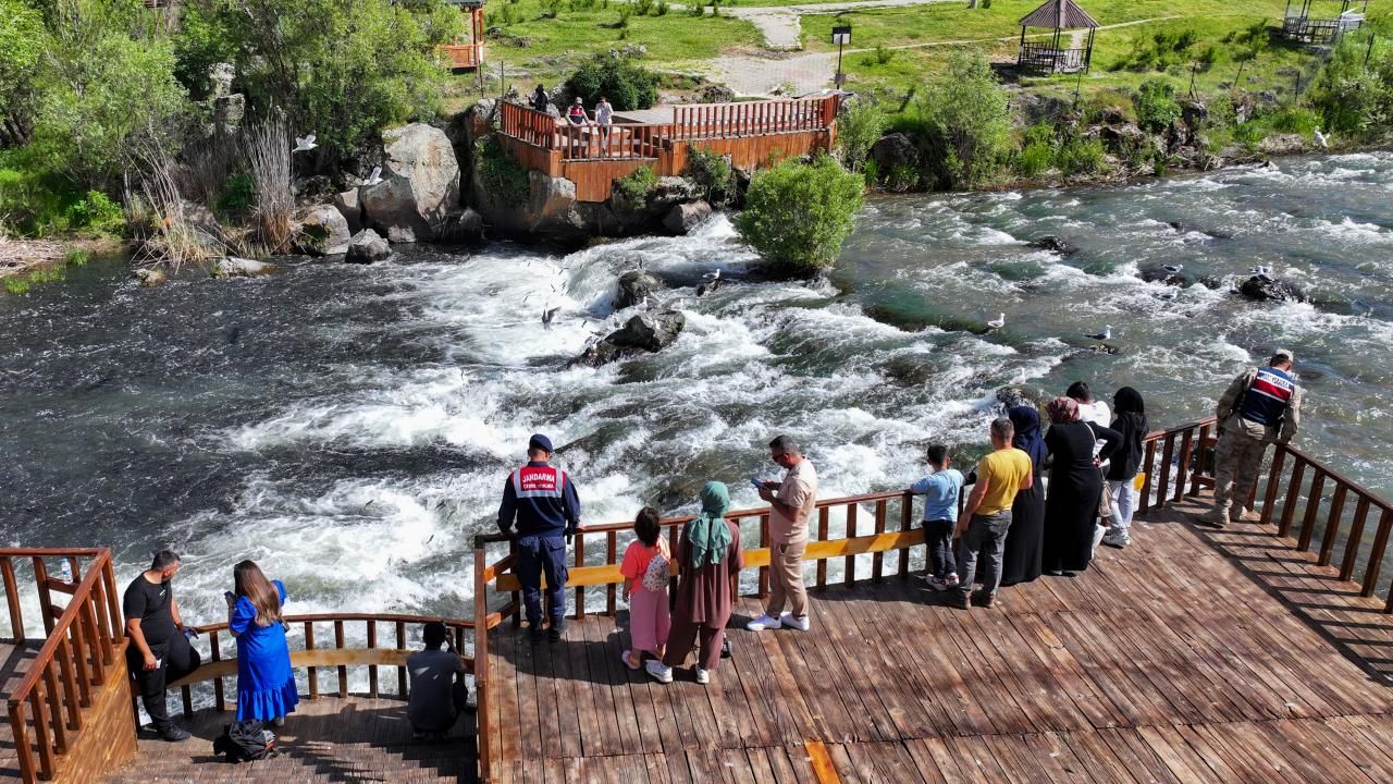 Jandarma&#039;dan &#039;inci kefali&#039; nöbeti