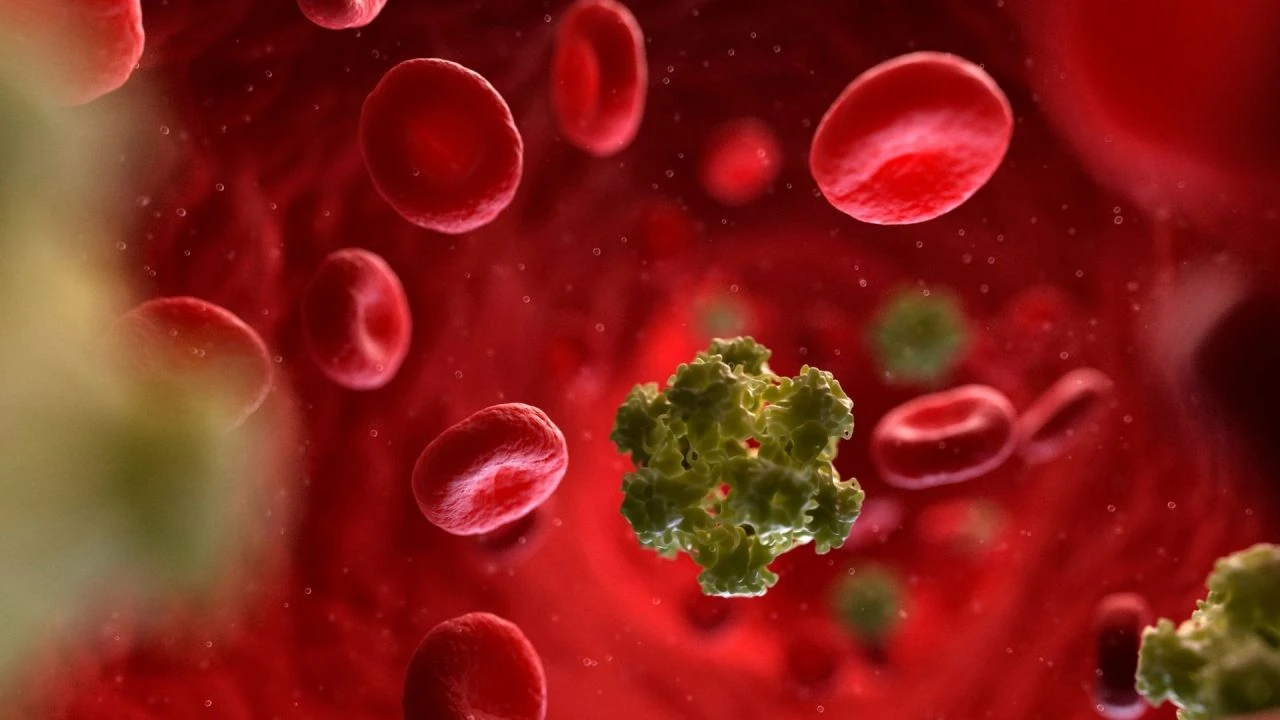 Türkiye'deki gençlerde HP virüsü alarmı! Deneme kabinlerindeki kıyafetlere dikkat - 3. Resim