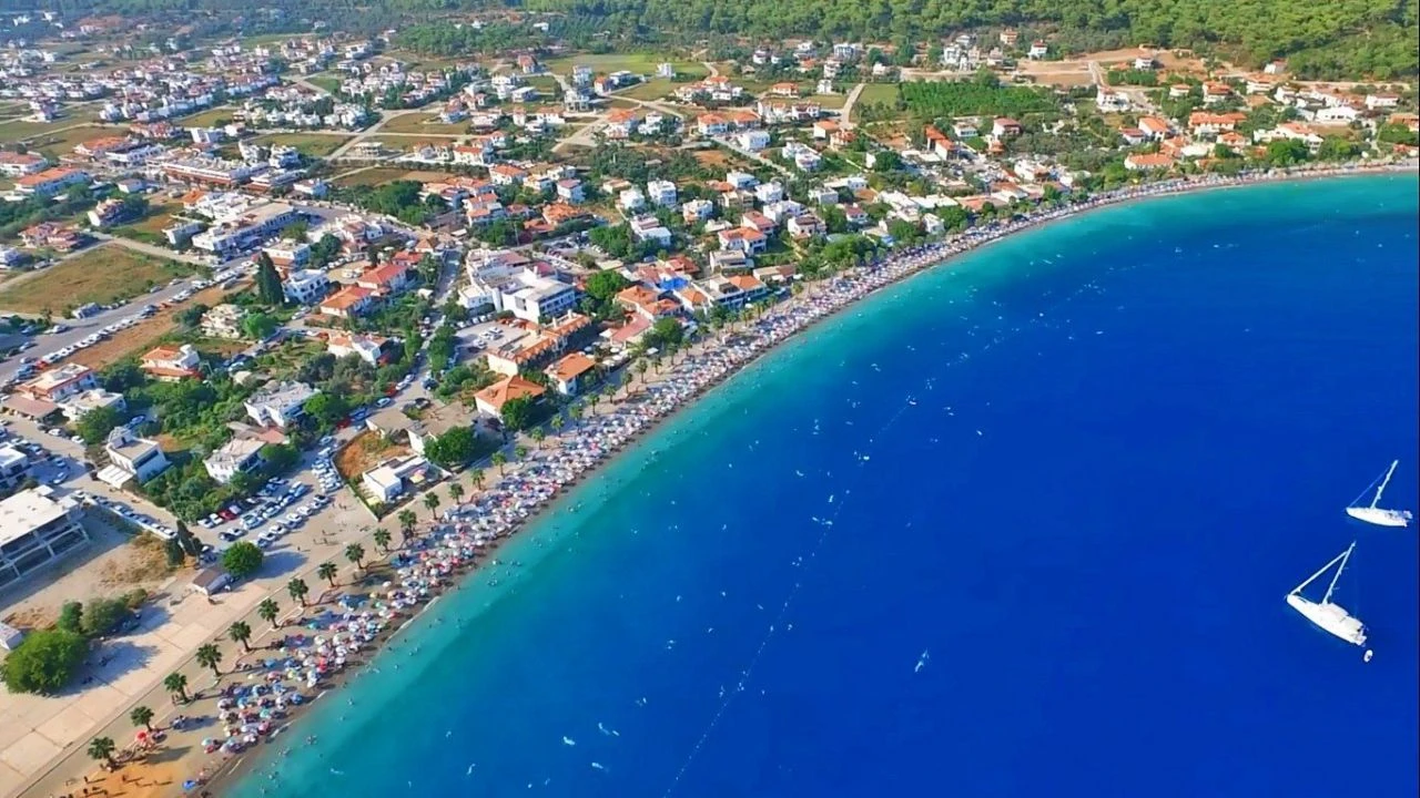 Zeytinyağı ihracatında yeni düzenleme! Sınırlı izin