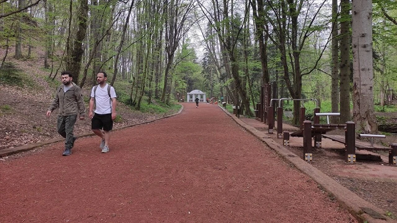 10 Haziran’da başlayacak olan ormanlara giriş yasağı 15 Ekim tarihinde son bulacak! Piknik ve mangal yasağı hakkında detaylar