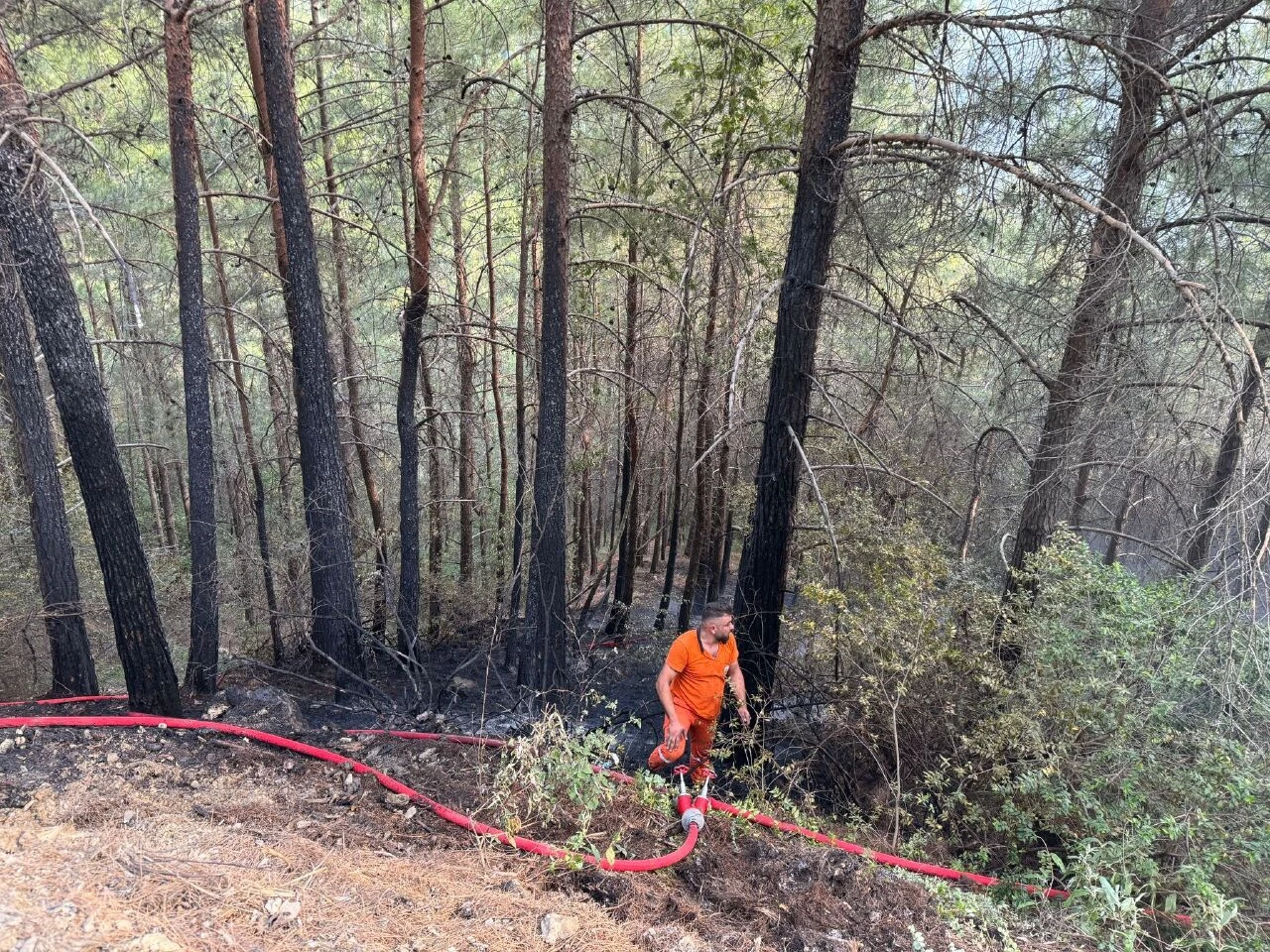 Antalya'dan peş peşe korkutan haberler! Orman yangınları kontrol altında