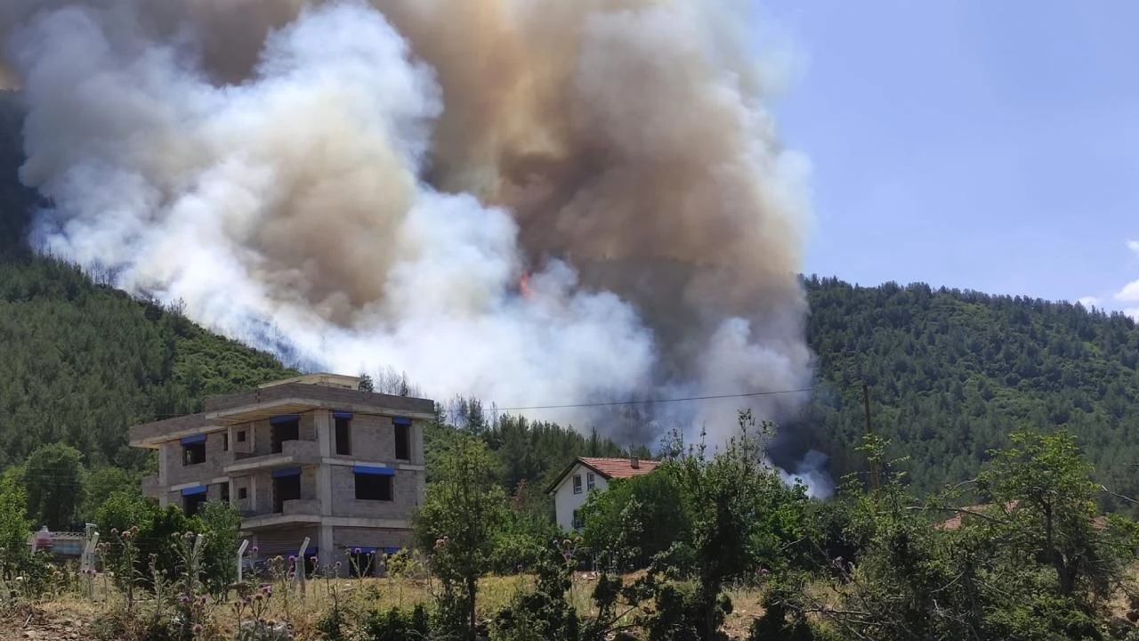 Denizli Pamukkale'de çıkan orman yangını kontrol altına alınmaya çalışılıyor - 1. Resim