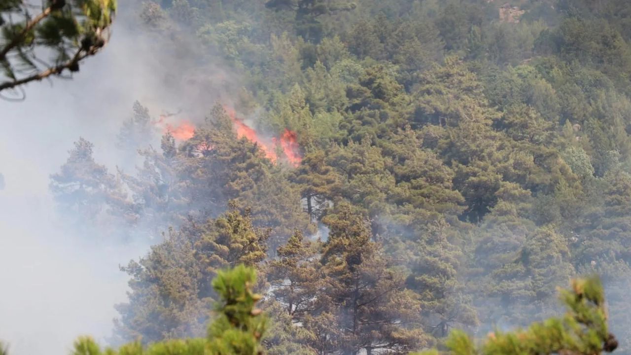 Denizli Pamukkale&#039;de çıkan orman yangını kontrol altına alınmaya çalışılıyor