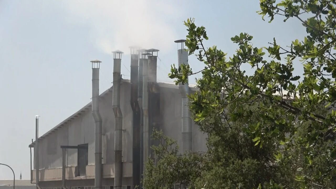 Hiroşima değil Türkiye! Bursa'da çevre katliamı yaşanıyor