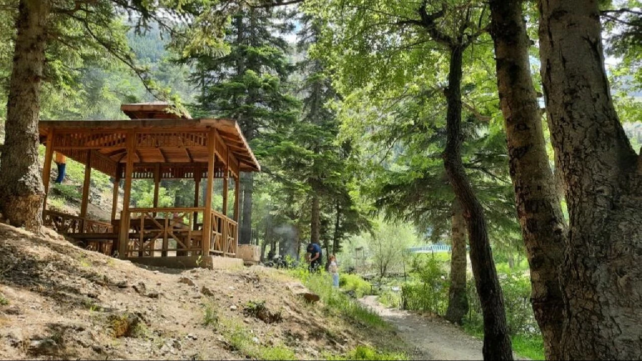 İstanbul Valiliği duyurdu: Ormanlık alanlara girişler 4 ay yasaklandı