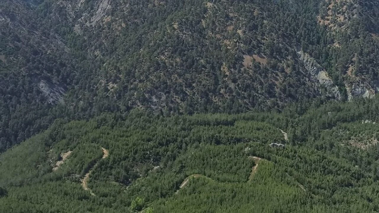 İstanbul'da ormanlara giriş yasağı 10 Haziran 2024 tarihinde başlayacak