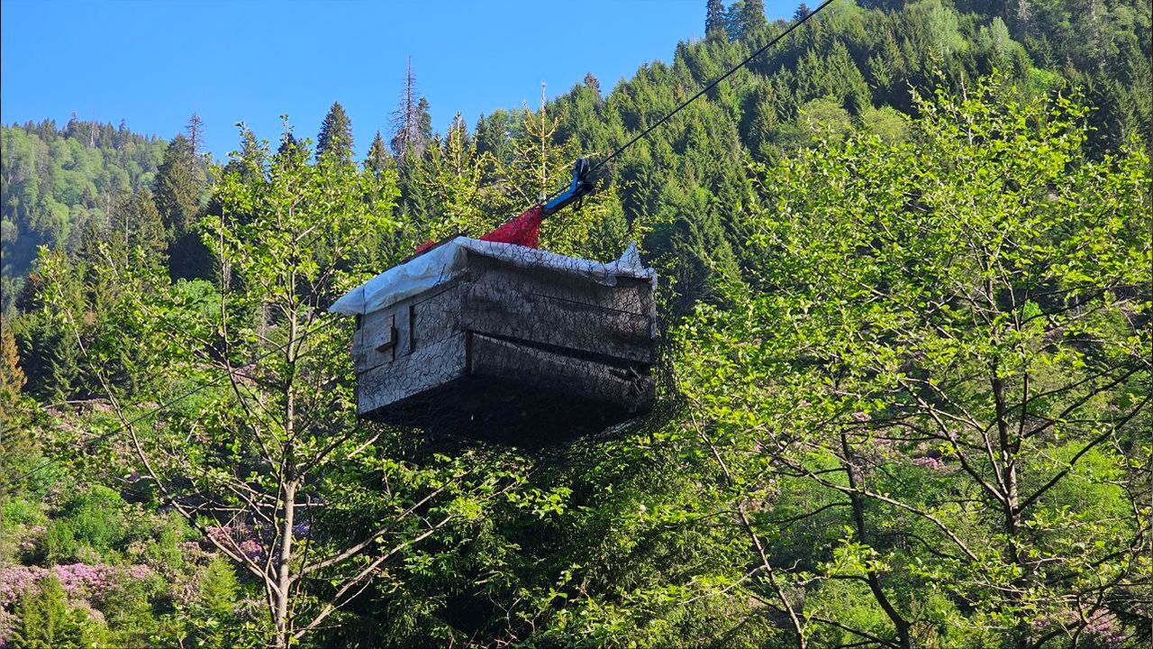 Tavukları için teleferik sistemi yaptı, 25 metreye kümes kurdu! Nedeni herkesi şaşırttı