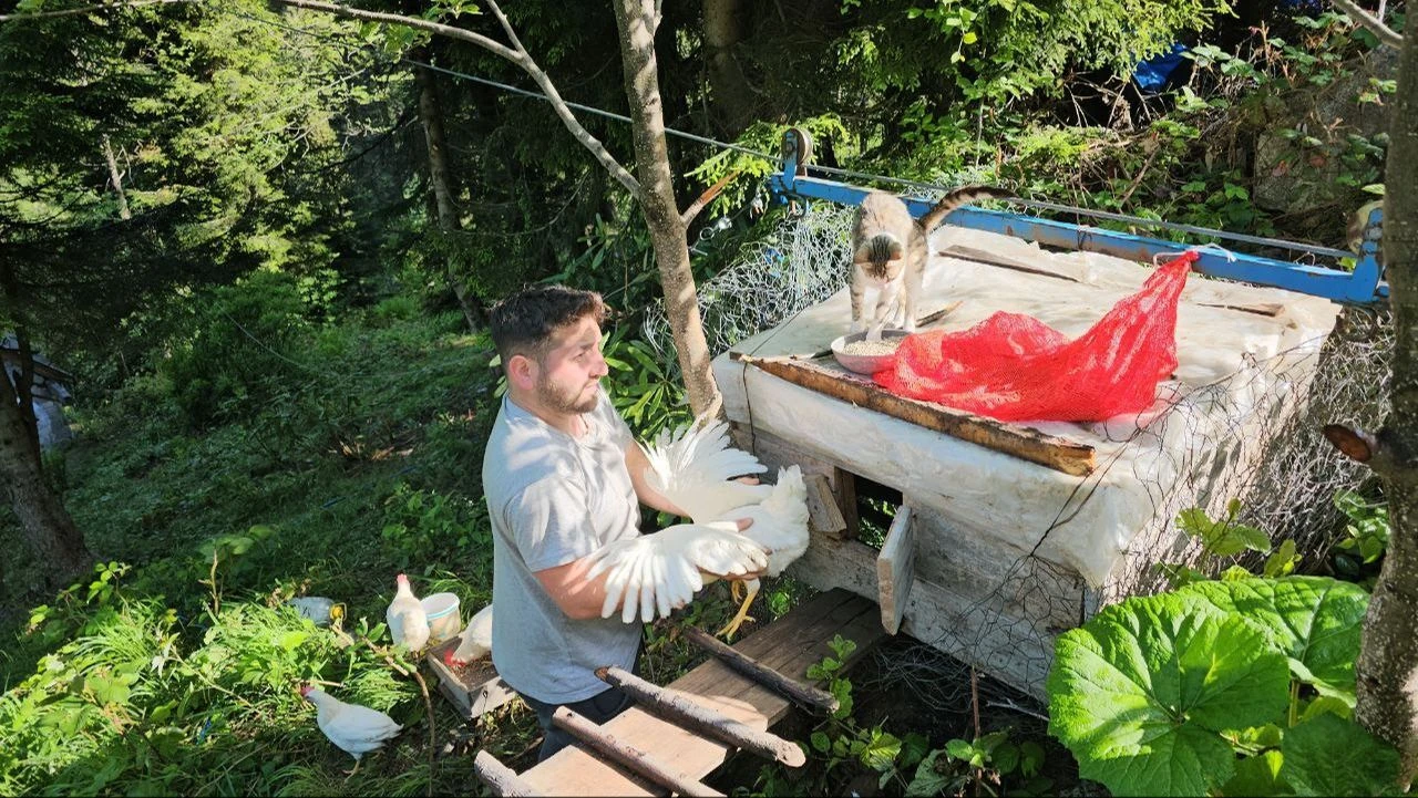 Tavukları için teleferik sistemi yaptı, 25 metreye kümes kurdu! Nedeni herkesi şaşırttı - 1. Resim