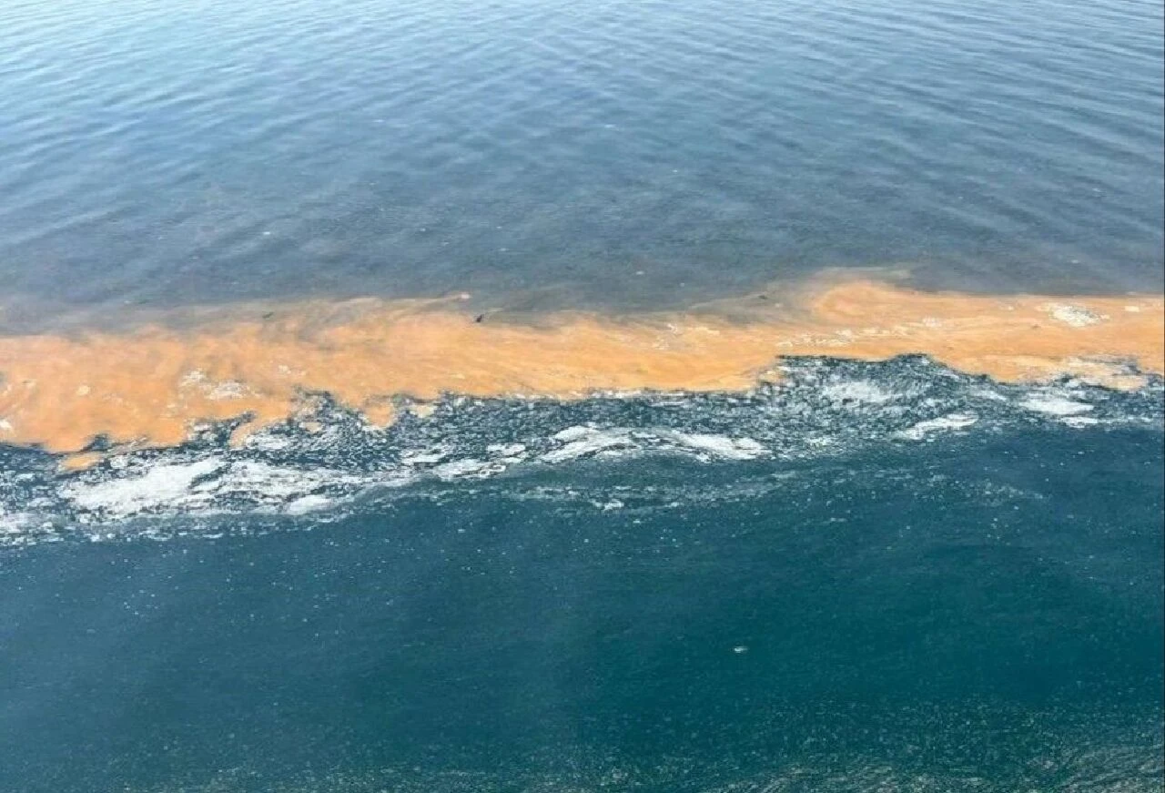 Marmara'nın kabusu geri döndü! Uzmanlardan peş peşe kritik uyarı: Sakın denize girmeyin!