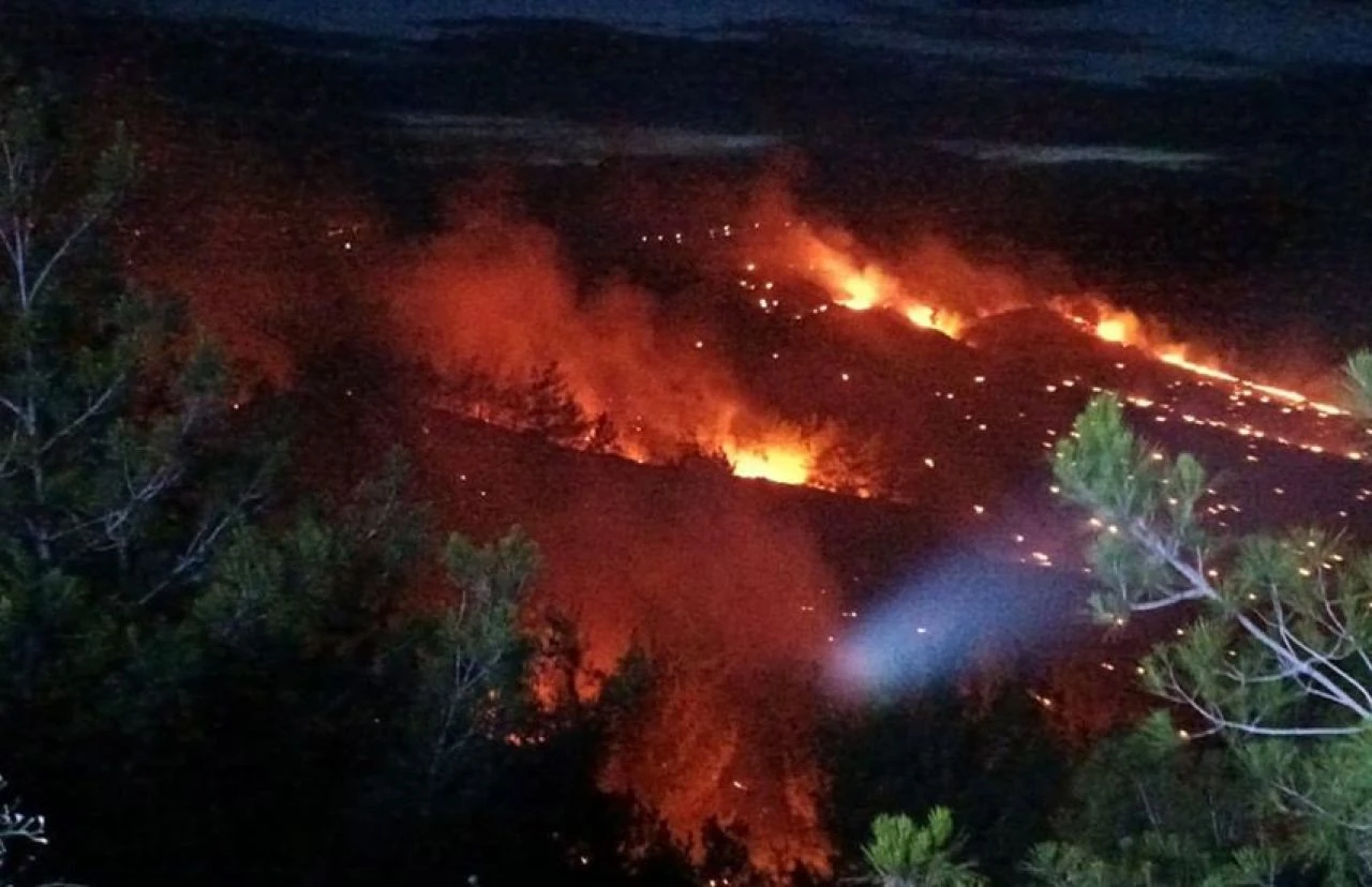 Adana'da orman yangını: Müdahale sürüyor - 1. Resim
