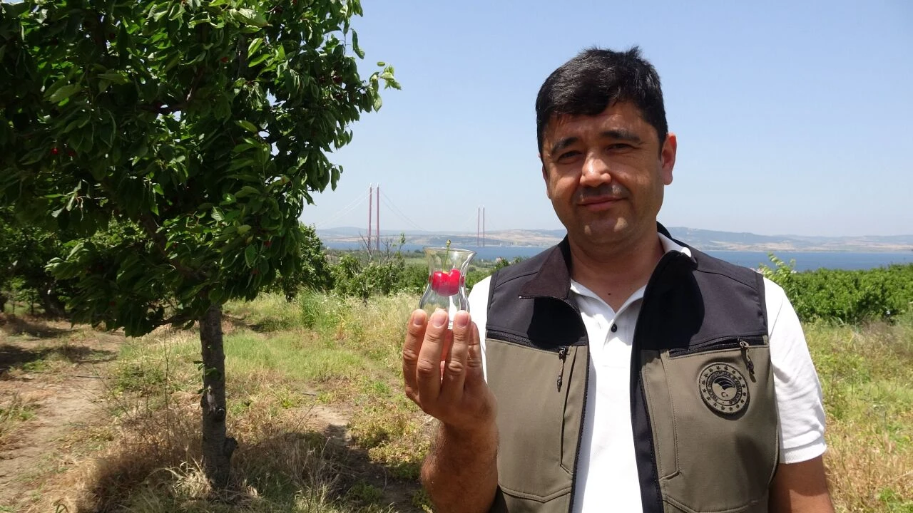 Ağız sulandıran kirazlar tezgaha taşınıyor! Kilosu cep yakacak - 2. Resim