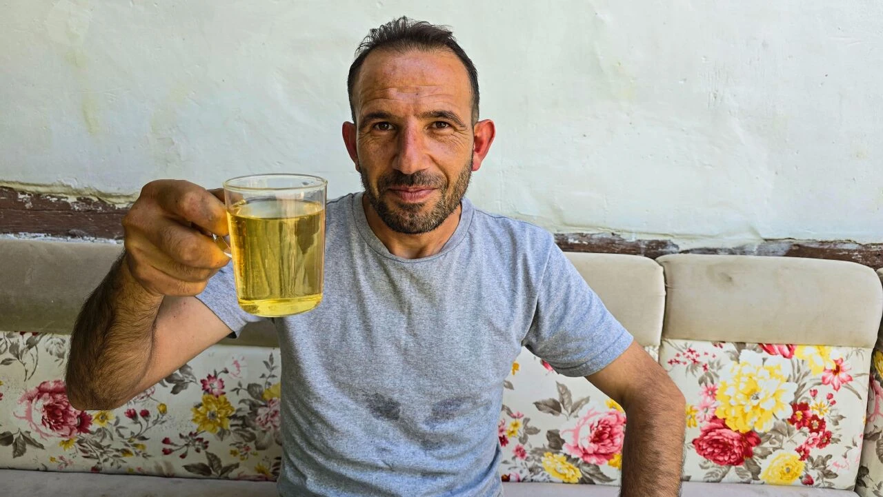 Batılı devletler bu çiçek için sıraya giriyor! Kilosu 5 bin euro: Bal ile karıştırılan akzambak çiçeği karaciğeri temizliyor - 4. Resim