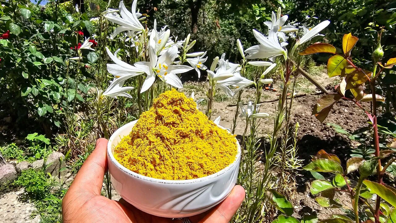 Batılı devletler bu çiçek için sıraya giriyor! Kilosu 5 bin euro: Bal ile karıştırılan akzambak çiçeği karaciğeri temizliyor - 3. Resim