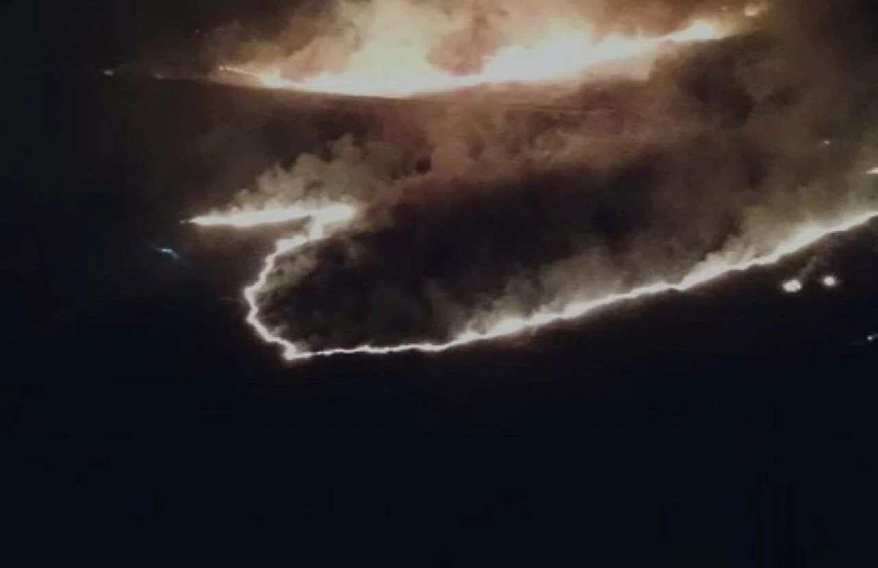 Gaziantep'te orman yangını: Kısmen kontrol altına alındı - 1. Resim