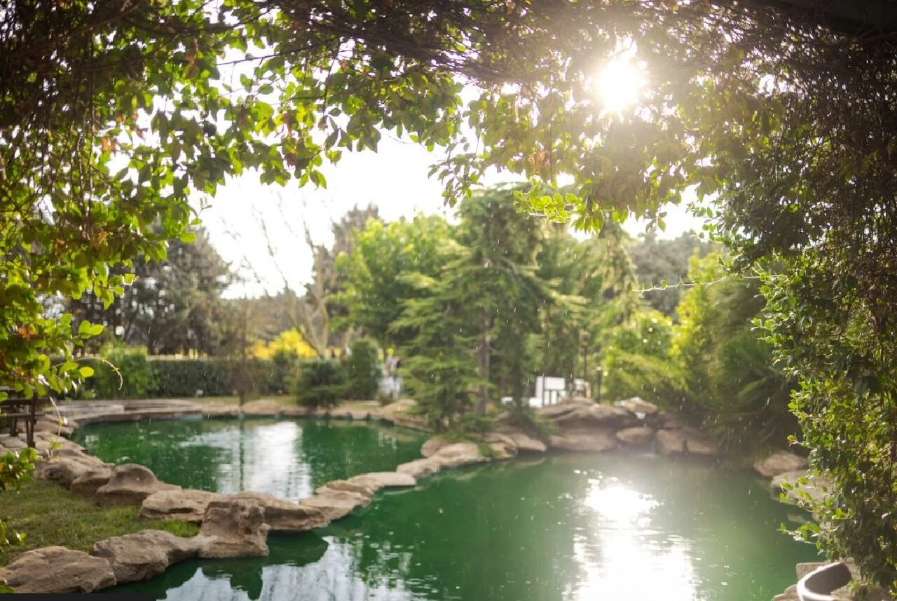 Grandma’s Wonderland: Modern Ruhların Sığınağı