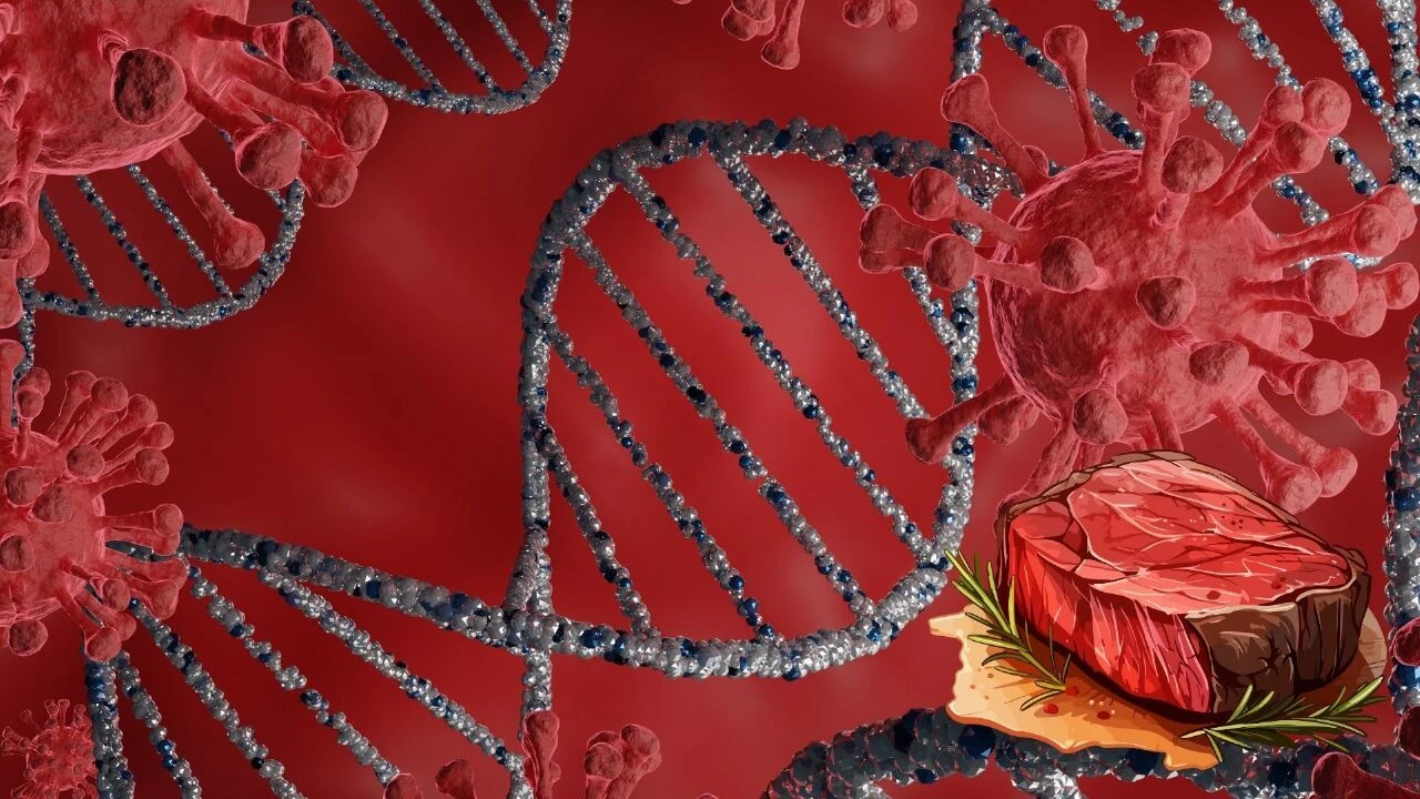 Kurban Bayramı öncesi etlerde verem alarmı! Kırmızı etler imha edildi - 1. Resim