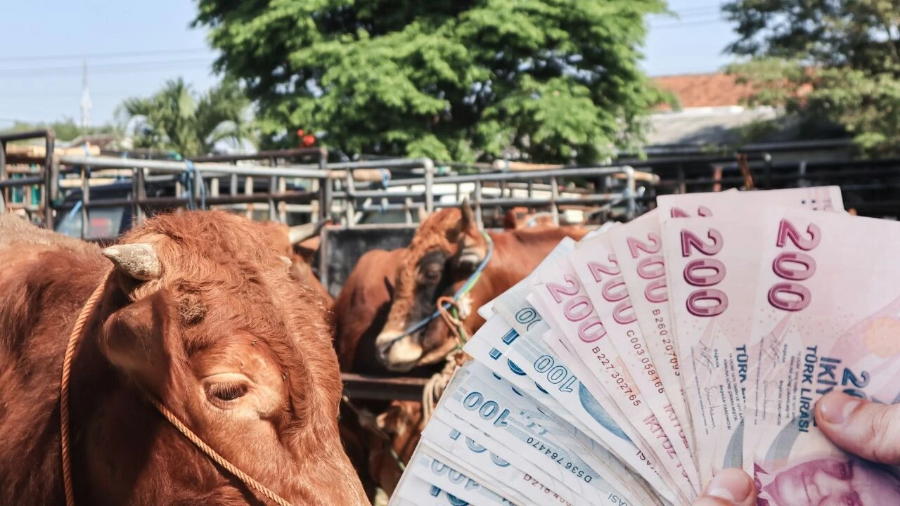 Kurbanlık satışlarında sahte paralara dikkat! TESK Başkanı bizzat uyardı: Fiyat artışları riski de arttırdı