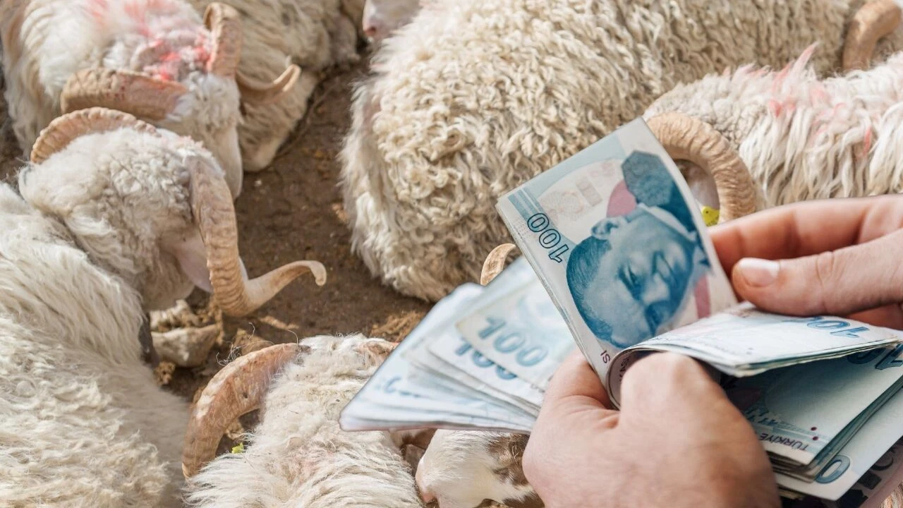 Kurbanlık satışlarında sahte paralara dikkat! TESK Başkanı bizzat uyardı: Fiyat artışları riski de arttırdı