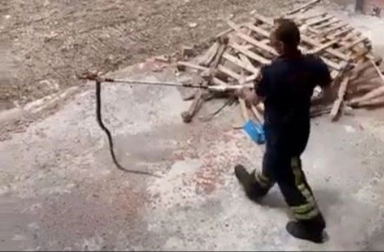 Havalar ısındı, dev yılanlar evleri bastı! Uzman isim uyardı: Uzunlukları 7-8 metreyi buluyor