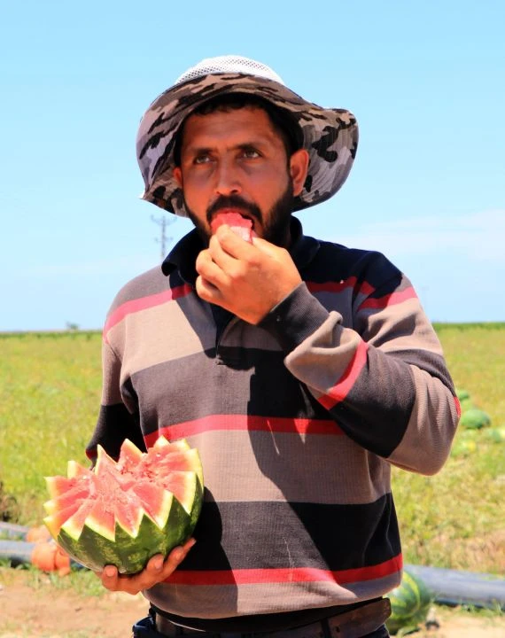 Adana karpuzuna Avrupa'dan yoğun talep! EURO 2024 çiftçinin yüzünü güldürdü - 1. Resim