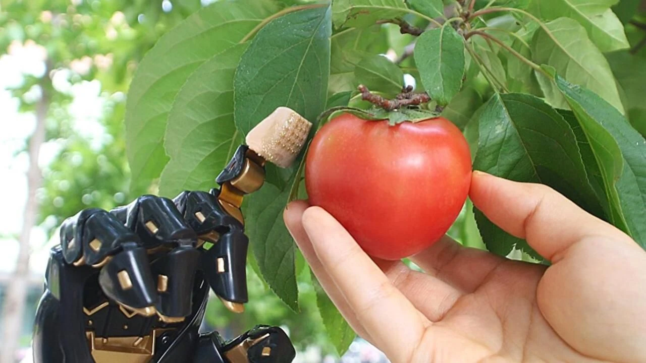 Dokunma duyusunu taklit eden deri üretildi! İnsansı robotlar için çarpıcı buluş!