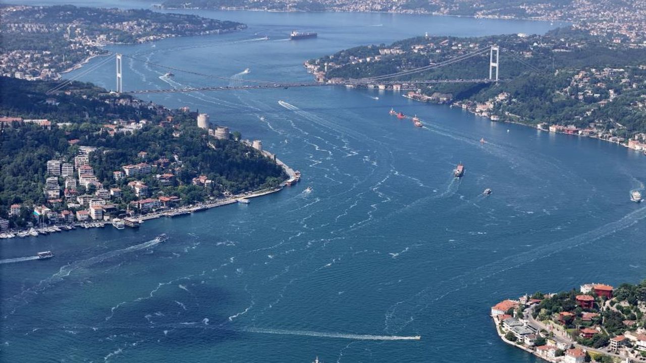 Kâbus geri döndü! İstanbullular dikkat: Görürseniz kaçın denize girmeyin