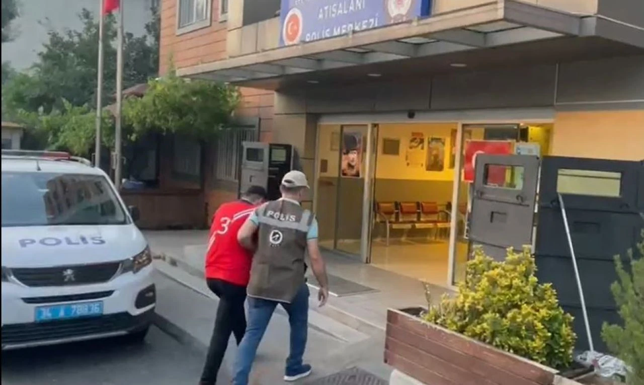 Kediye saldıran pitbullun sahibi serbest bırakıldı! Geriye vahşet görüntüleri kaldı