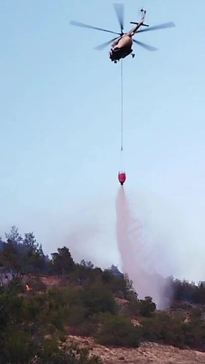 Pamukkale'de 35 hektar cayır cayır yandı! 3 saatte söndürülebildi - 2. Resim