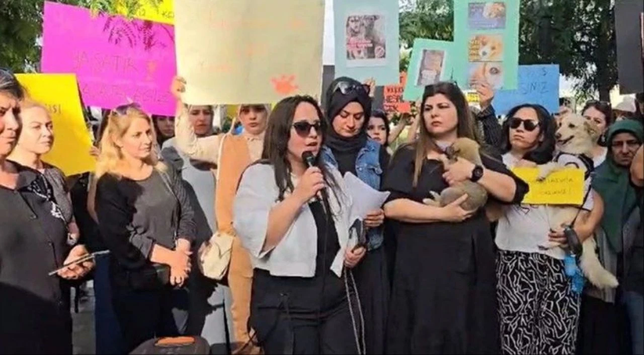 Şanlıurfa'da 'kuduz' gerginliği! Mahalleyi basıp, muhtarlığın kapısına dayandılar - 1. Resim