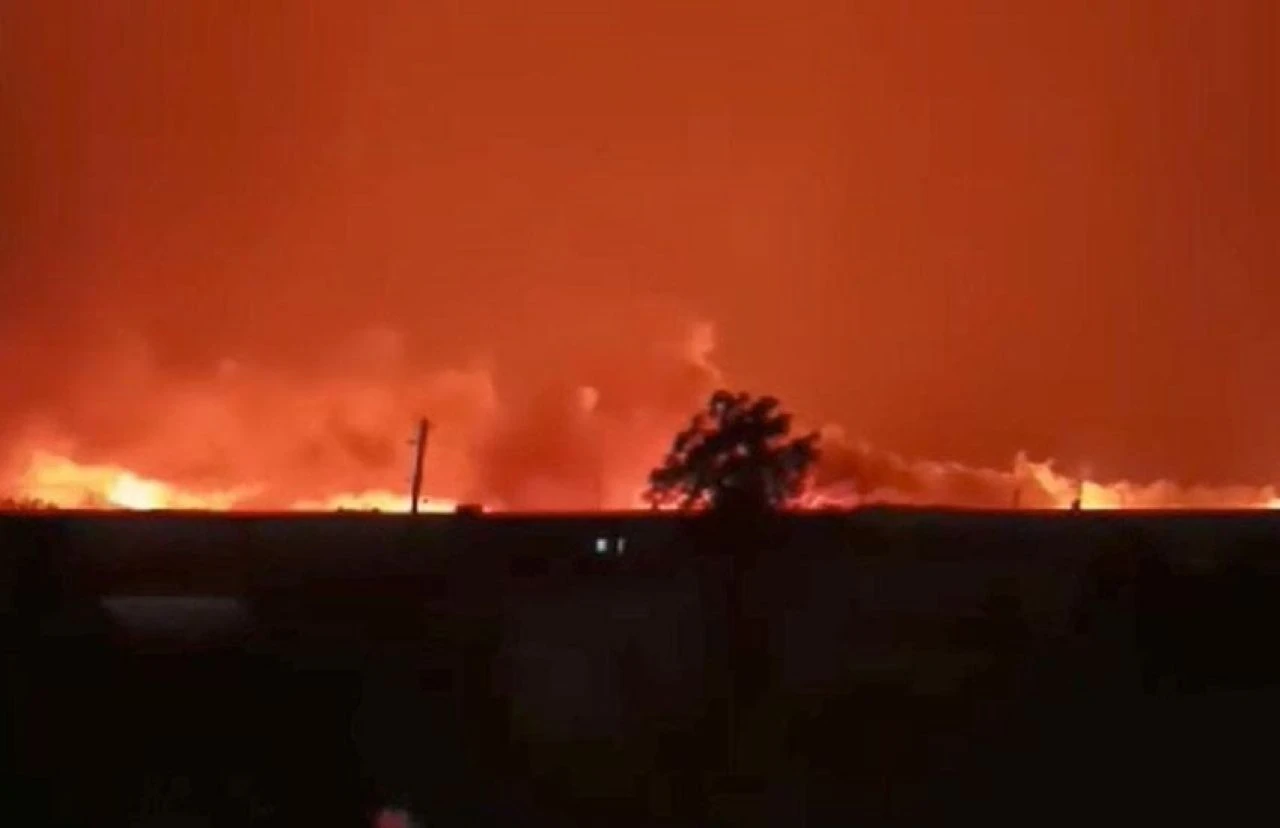 TİGEM arazisinde korkutan yangın - 1. Resim