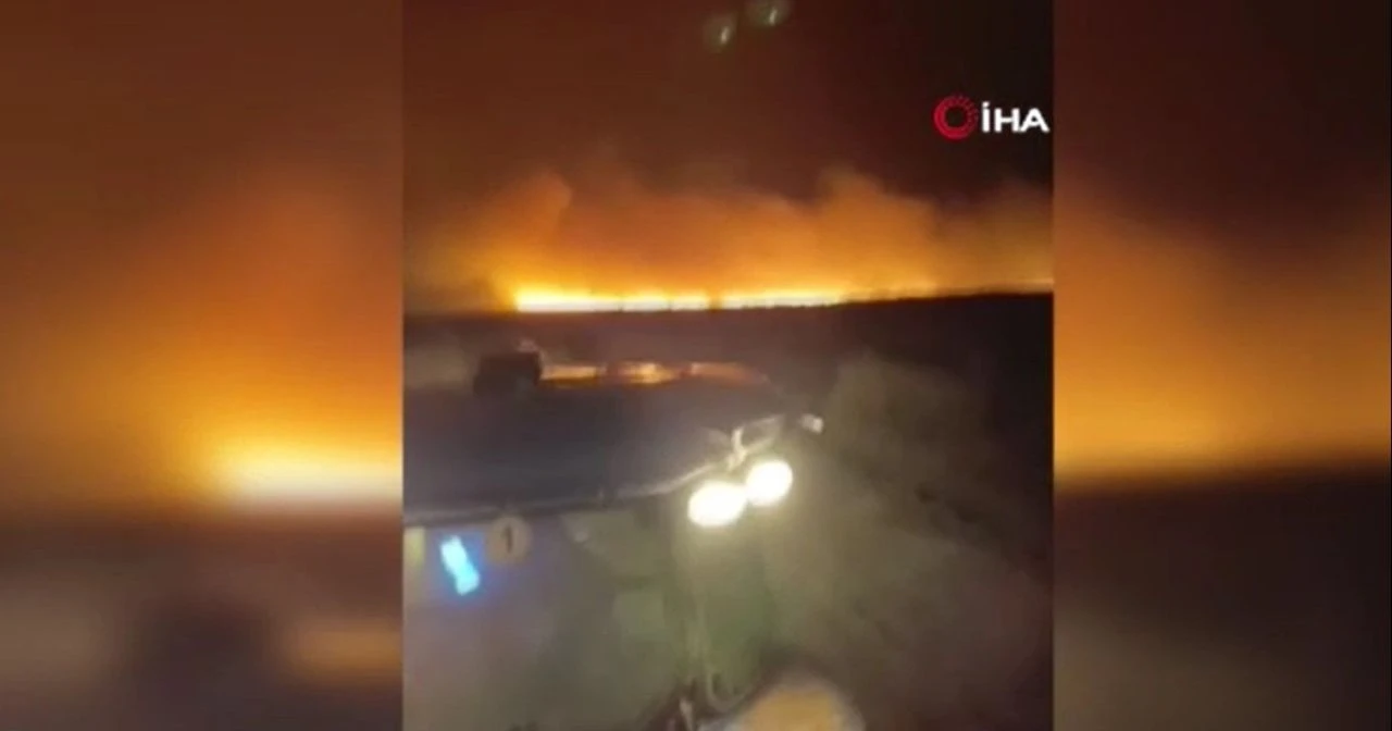 TİGEM'in ekili arazisine yıldırım düştü! Buğdaylar cayır cayır yandı - 1. Resim