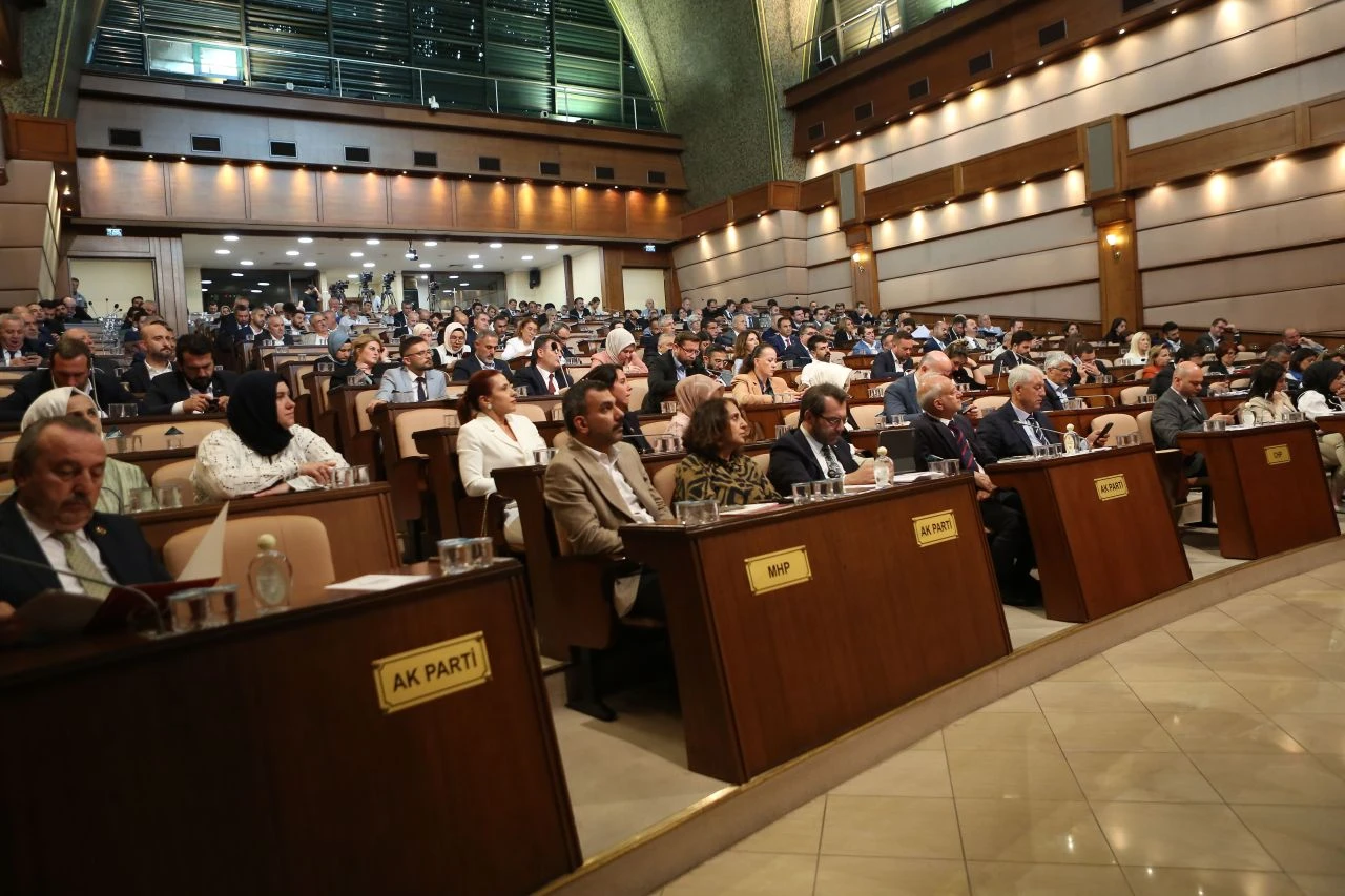 İBB Meclisinde sahipsiz köpekler tartışıldı: "Kısırlaştırma sayısı düşüyor!"