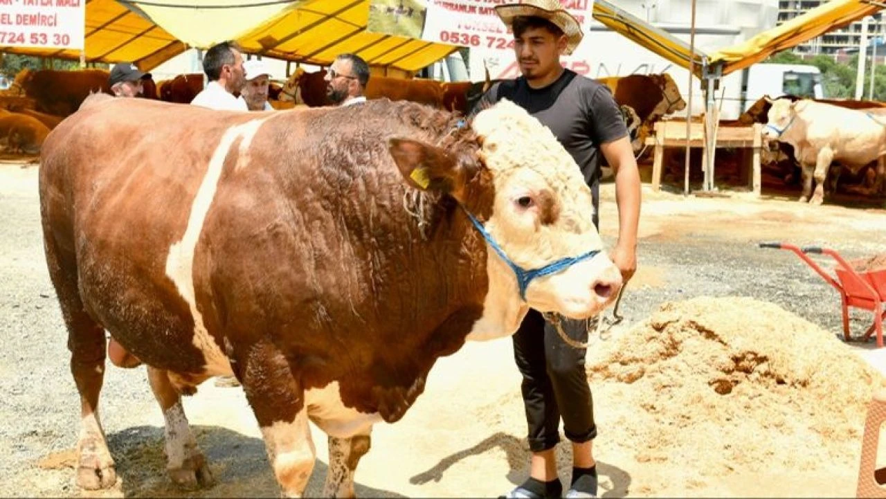 Kasaplar da cep yakıyor! sadece bıçak parası 5 bin TL - 2. Resim