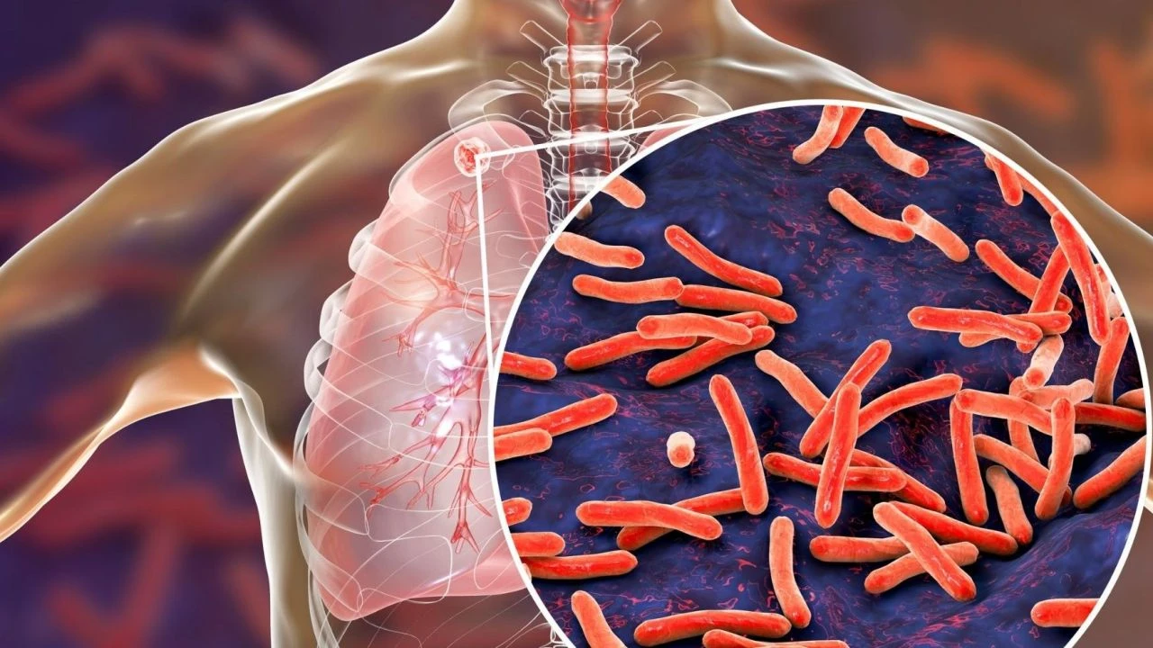 Kurban Bayramı öncesi uzmanlardan uyarı geldi! Verem olan ve kene ısırmış hayvanlara dikkat