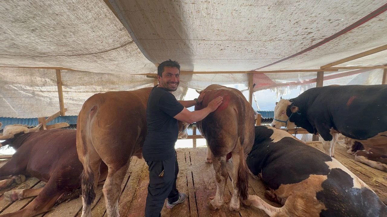 Öyle bir kurban pazarlığı yaptılar ki rüyasına bile girdi - 1. Resim