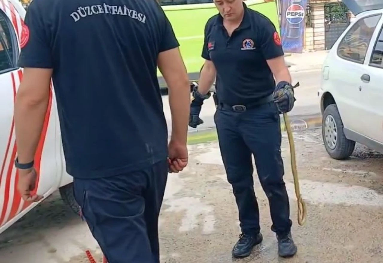 Böyle bir şey görülmedi: İnatçı yılan teker sökülerek çıkarıldı! - 1. Resim