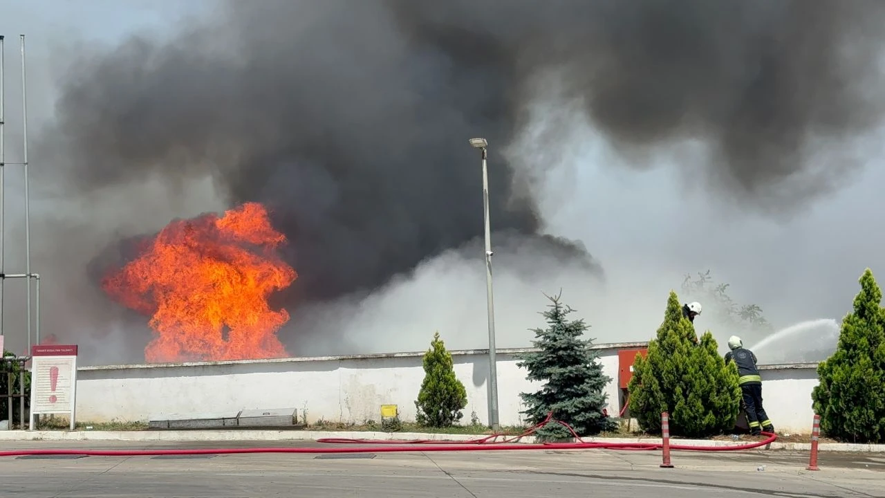 Gebze'de palet fabrikasında yangın! İstanbul ve çevre illerden çok sayıda ekip sevk edildi! - 1. Resim
