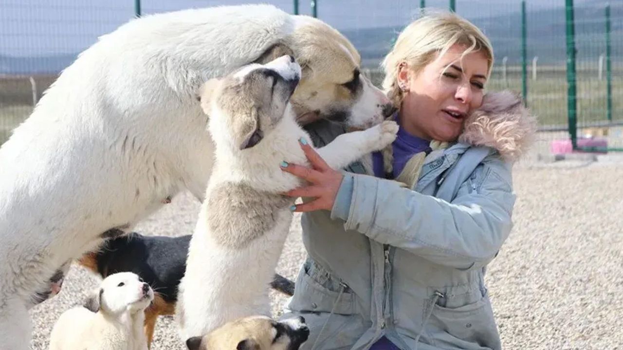 Hayvanların sırtından servet kazanmıştı: Buket Özgünlü hakkında korkunç iddialar: Köpekleri bilerek sakat bıraktı!