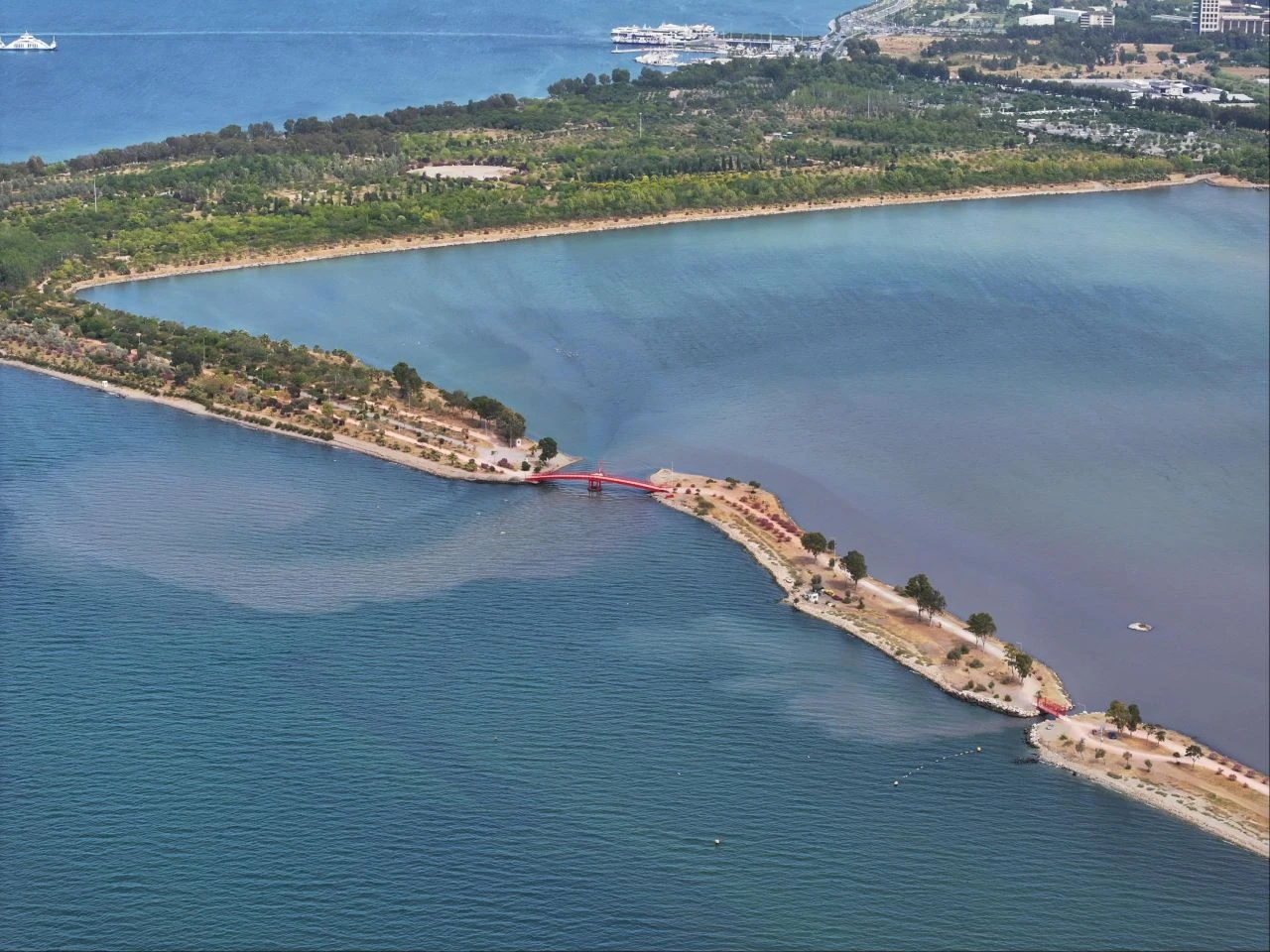 İzmir’de denizin rengi endişeye neden oldu: Kötü koku yayıldı!