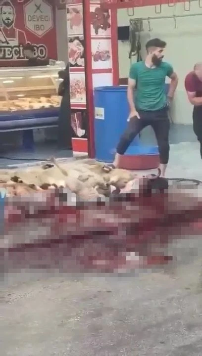 Mide bulandıran görüntü! Sokak ortasında öyle bir şey yaptı ki... - 1. Resim