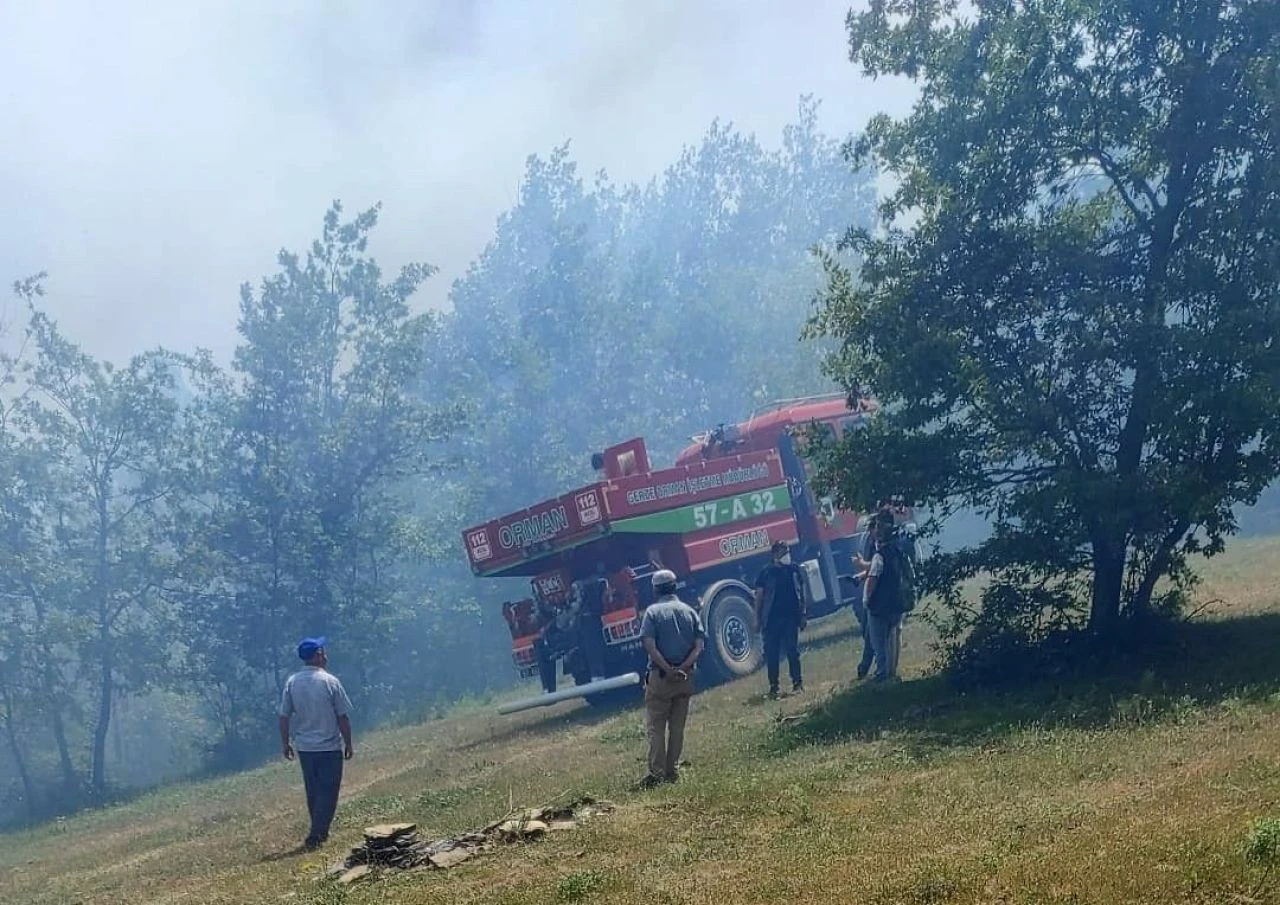 Sinop, Muğla, Çanakkale! Orman yangınlarına havadan ve karadan müdahale ediliyor - 2. Resim