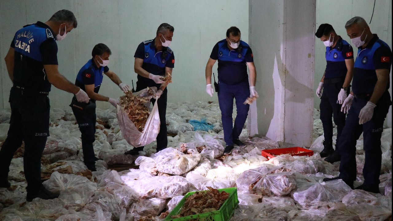 Yer Şanlıurfa: Mide bulandıran görüntüler! Vatandaşa yedireceklerdi..