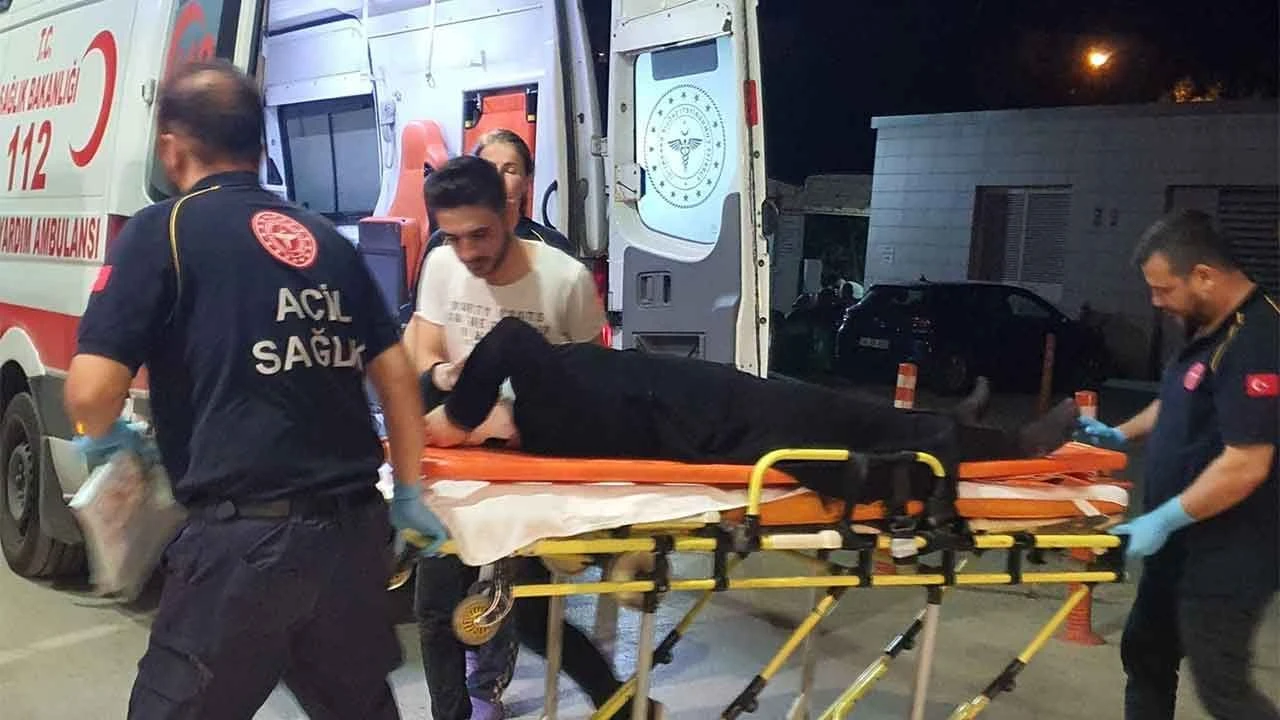 Kontrolden çıkan otomobil direğe çarptı: 5 yaralı - 1. Resim