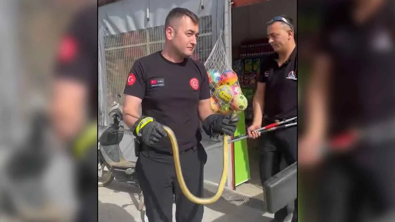 Markette yılan paniği! Yaşlı kadının tepkisi güldürdü: Anam ne güzel tuttu