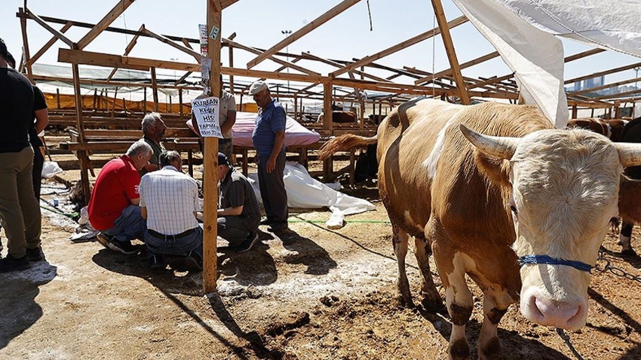 Tarım Bakanlığı'ndan Kurban Bayramı öncesi kesimhane denetimi