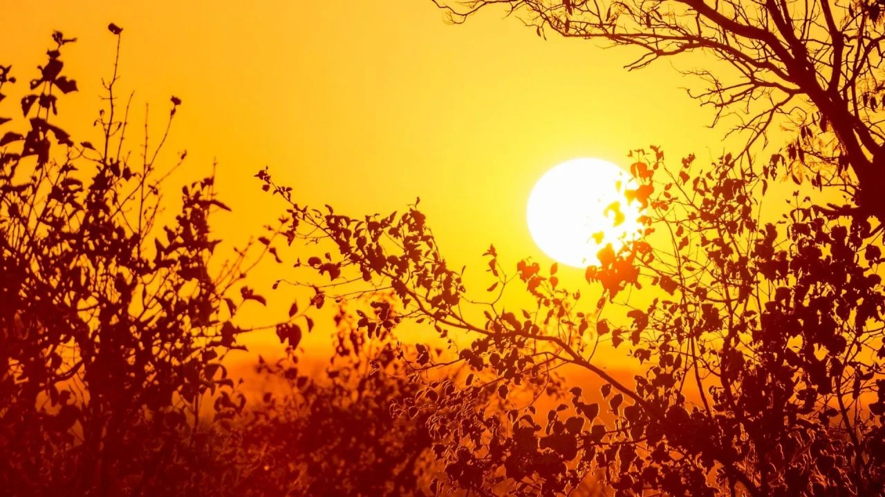 Afrika sıcağı dalgası 290 milyon kişiyi etkiliyor! Türkiye de kırmızı listede yer aldı