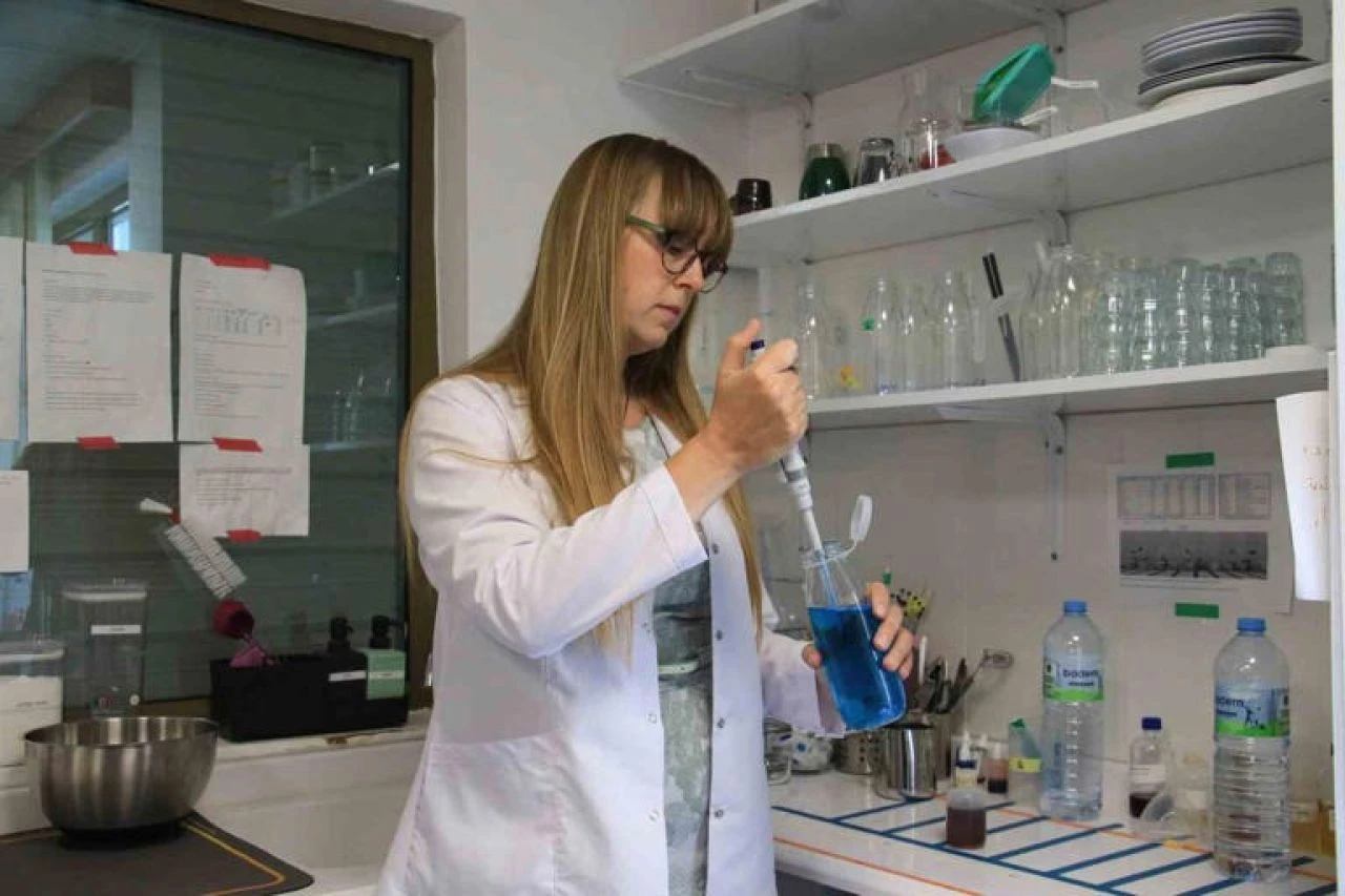 Bilim insanları, bazı yemekleri neden yemek istemediğimizi araştırıyor