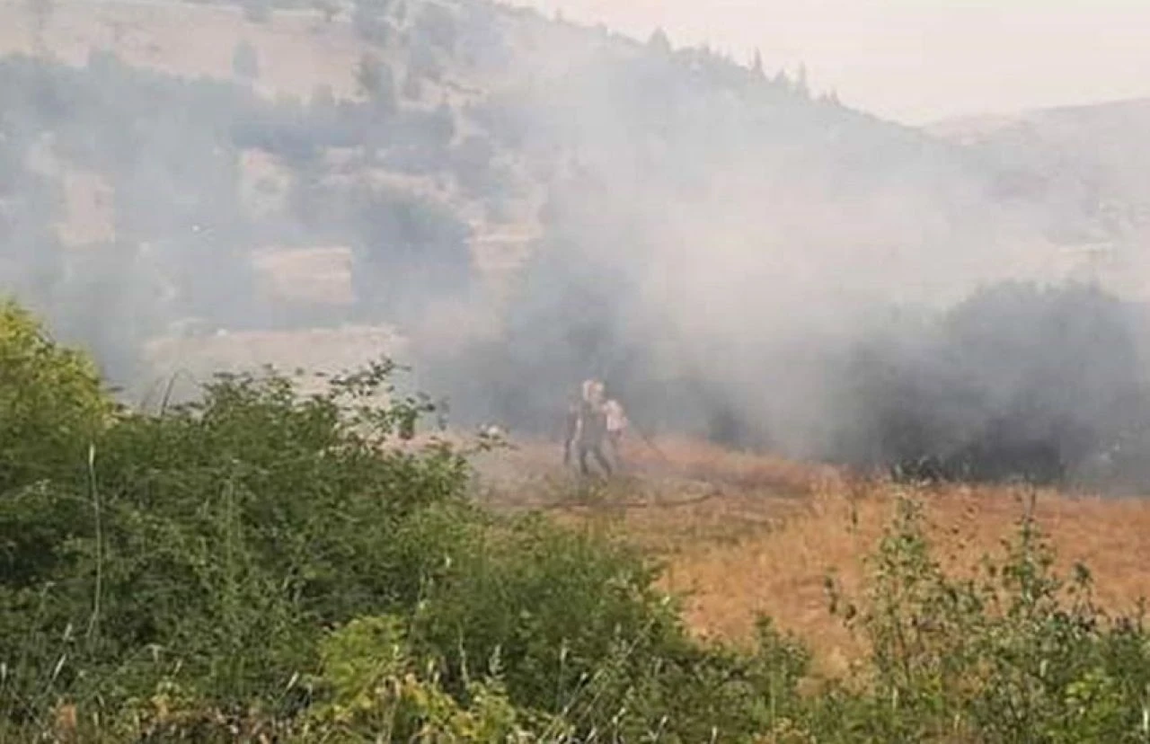 Denizli'de üç ayrı noktada orman yangını - 1. Resim