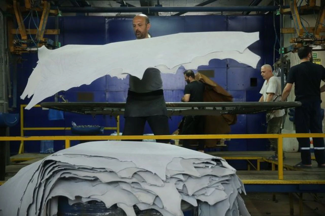 Kurban derisini çöpe atanlar kafalarını duvara vuracak! Tek bir deri size servet kazandırıyor